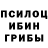 Галлюциногенные грибы Psilocybine cubensis red gigi