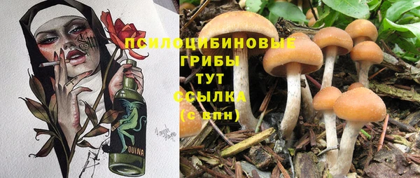 2c-b Белокуриха