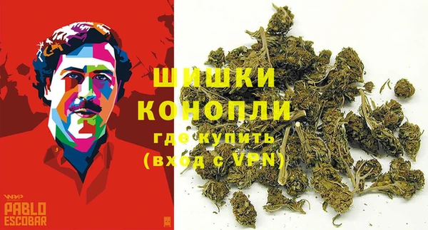 2c-b Белокуриха