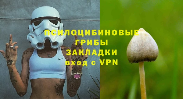 2c-b Белокуриха